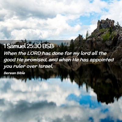 Picture 02 - 1 Samuel 25:30 BSB - When the LORD has done for my lord all the good - Bible Verse Picture