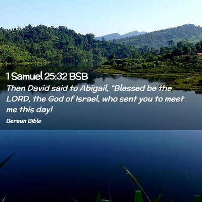 Picture 02 - 1 Samuel 25:32 BSB - Then David said to Abigail, “Blessed be the - Bible Verse Picture