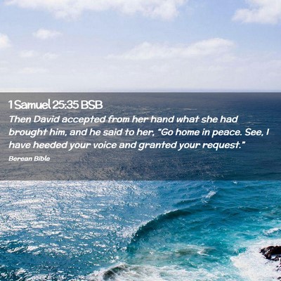 Picture 02 - 1 Samuel 25:35 BSB - Then David accepted from her hand what she had - Bible Verse Picture