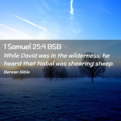 Picture 02 - 1 Samuel 25:4 BSB - While David was in the wilderness, he heard that - Bible Verse Picture