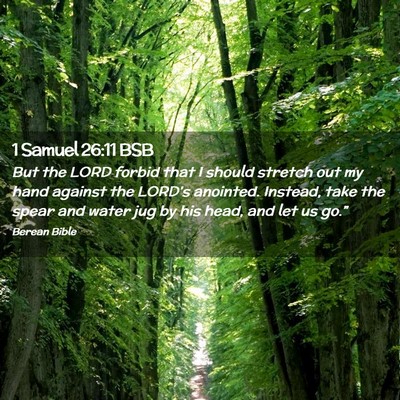 Picture 02 - 1 Samuel 26:11 BSB - But the LORD forbid that I should stretch out my - Bible Verse Picture