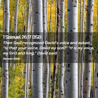 Picture 02 - 1 Samuel 26:17 BSB - Then Saul recognized David’s voice and asked, - Bible Verse Picture