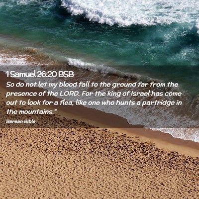 Picture 02 - 1 Samuel 26:20 BSB - So do not let my blood fall to the ground far - Bible Verse Picture