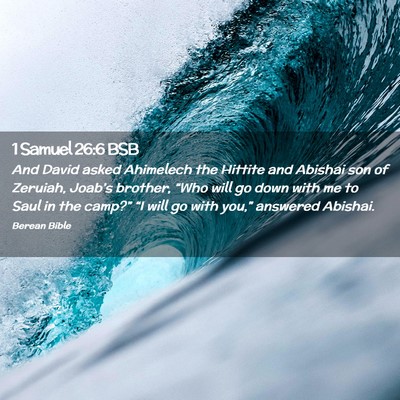 Picture 02 - 1 Samuel 26:6 BSB - And David asked Ahimelech the Hittite and Abishai - Bible Verse Picture