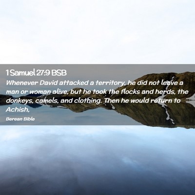 Picture 02 - 1 Samuel 27:9 BSB - Whenever David attacked a territory, he did not - Bible Verse Picture