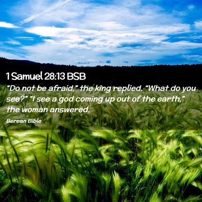 Picture 02 - 1 Samuel 28:13 BSB - “Do not be afraid,” the king replied. “What - Bible Verse Picture