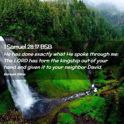 Picture 02 - 1 Samuel 28:17 BSB - He has done exactly what He spoke through me: The - Bible Verse Picture