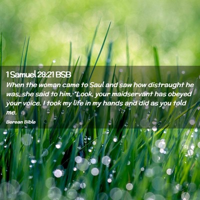 Picture 02 - 1 Samuel 28:21 BSB - When the woman came to Saul and saw how - Bible Verse Picture