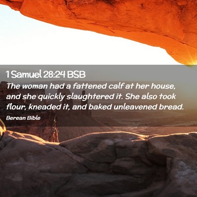 Picture 02 - 1 Samuel 28:24 BSB - The woman had a fattened calf at her house, and - Bible Verse Picture