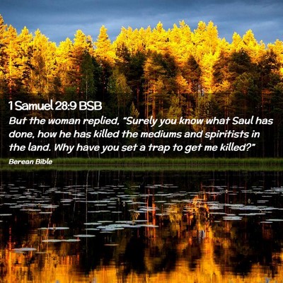 Picture 02 - 1 Samuel 28:9 BSB - But the woman replied, “Surely you know what - Bible Verse Picture