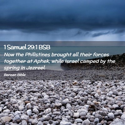 Picture 02 - 1 Samuel 29:1 BSB - Now the Philistines brought all their forces - Bible Verse Picture