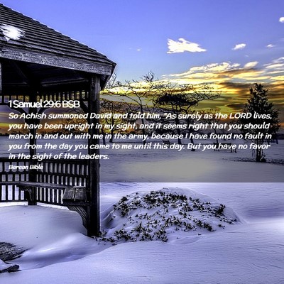 Picture 02 - 1 Samuel 29:6 BSB - So Achish summoned David and told him, “As - Bible Verse Picture