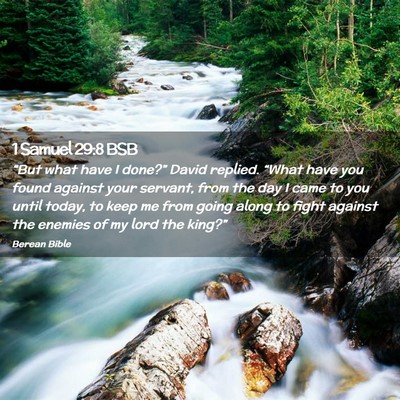 Picture 02 - 1 Samuel 29:8 BSB - “But what have I done?” David replied. - Bible Verse Picture