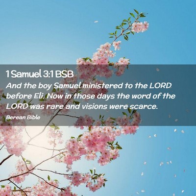 Picture 02 - 1 Samuel 3:1 BSB - And the boy Samuel ministered to the LORD before - Bible Verse Picture