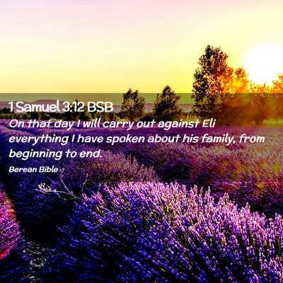 Picture 02 - 1 Samuel 3:12 BSB - On that day I will carry out against Eli - Bible Verse Picture