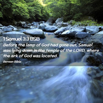 Picture 02 - 1 Samuel 3:3 BSB - Before the lamp of God had gone out, Samuel was - Bible Verse Picture