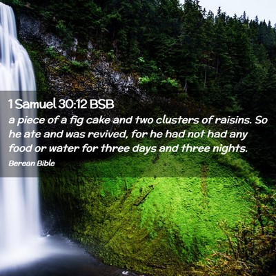 Picture 02 - 1 Samuel 30:12 BSB - a piece of a fig cake and two clusters of - Bible Verse Picture