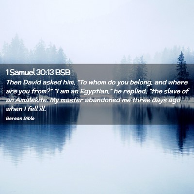 Picture 02 - 1 Samuel 30:13 BSB - Then David asked him, “To whom do you belong, - Bible Verse Picture