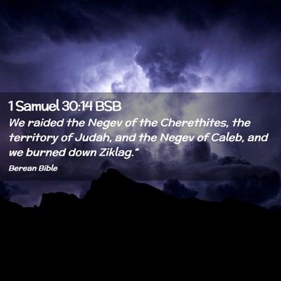 Picture 02 - 1 Samuel 30:14 BSB - We raided the Negev of the Cherethites, the - Bible Verse Picture