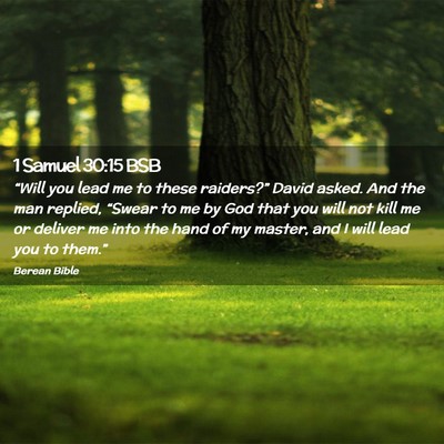 Picture 02 - 1 Samuel 30:15 BSB - “Will you lead me to these raiders?” David - Bible Verse Picture