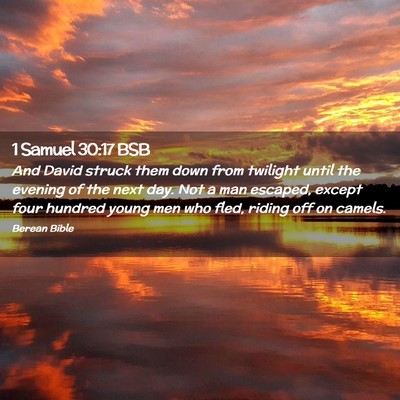 Picture 02 - 1 Samuel 30:17 BSB - And David struck them down from twilight until - Bible Verse Picture