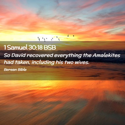 Picture 02 - 1 Samuel 30:18 BSB - So David recovered everything the Amalekites had - Bible Verse Picture