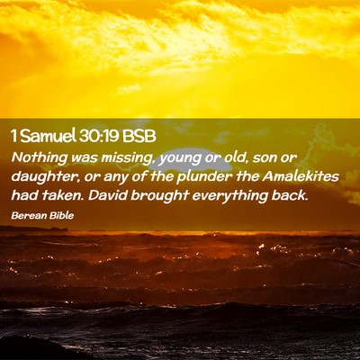 Picture 02 - 1 Samuel 30:19 BSB - Nothing was missing, young or old, son or - Bible Verse Picture
