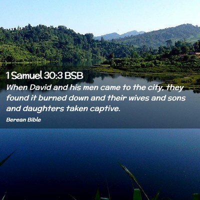 Picture 02 - 1 Samuel 30:3 BSB - When David and his men came to the city, they - Bible Verse Picture