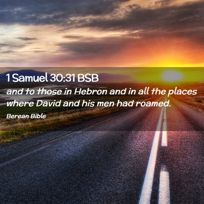 Picture 02 - 1 Samuel 30:31 BSB - and to those in Hebron and in all the places - Bible Verse Picture