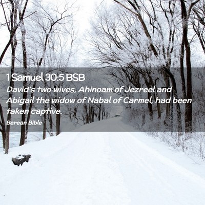 Picture 02 - 1 Samuel 30:5 BSB - David’s two wives, Ahinoam of Jezreel and - Bible Verse Picture