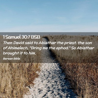 Picture 02 - 1 Samuel 30:7 BSB - Then David said to Abiathar the priest, the son - Bible Verse Picture