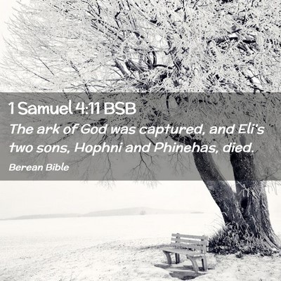 Picture 02 - 1 Samuel 4:11 BSB - The ark of God was captured, and Eli’s two - Bible Verse Picture