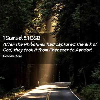 Picture 02 - 1 Samuel 5:1 BSB - After the Philistines had captured the ark of - Bible Verse Picture