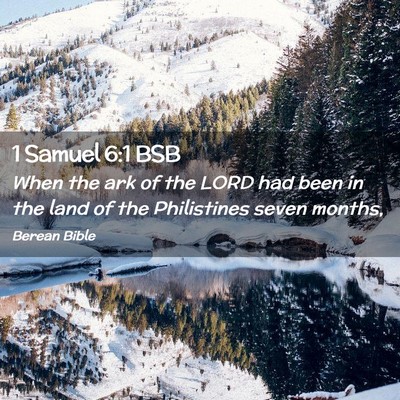 Picture 02 - 1 Samuel 6:1 BSB - When the ark of the LORD had been in the land of - Bible Verse Picture