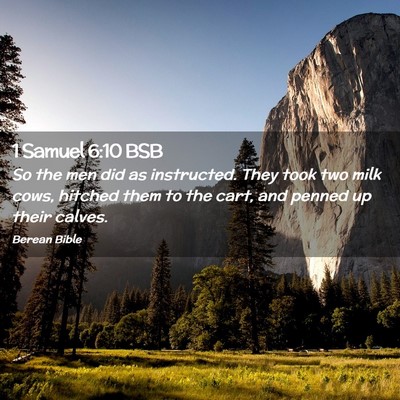 Picture 02 - 1 Samuel 6:10 BSB - So the men did as instructed. They took two milk - Bible Verse Picture