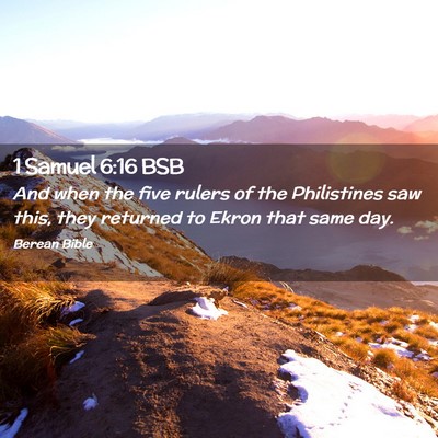 Picture 02 - 1 Samuel 6:16 BSB - And when the five rulers of the Philistines saw - Bible Verse Picture