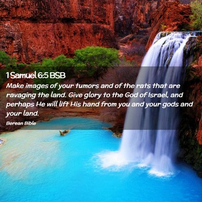 Picture 02 - 1 Samuel 6:5 BSB - Make images of your tumors and of the rats that - Bible Verse Picture