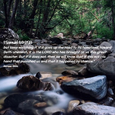 Picture 02 - 1 Samuel 6:9 BSB - but keep watching it. If it goes up the road to - Bible Verse Picture