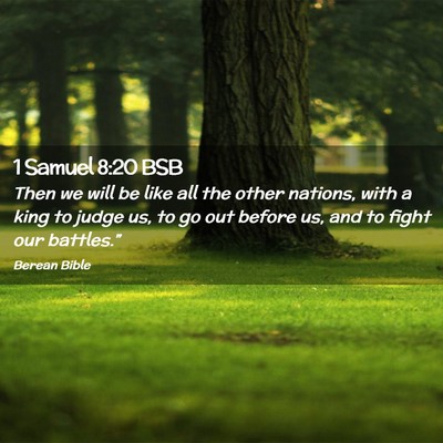 Picture 02 - 1 Samuel 8:20 BSB - Then we will be like all the other nations, with - Bible Verse Picture