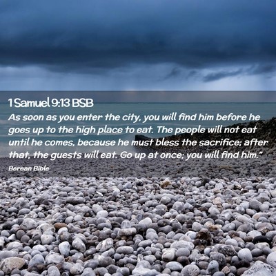 Picture 02 - 1 Samuel 9:13 BSB - As soon as you enter the city, you will find him - Bible Verse Picture