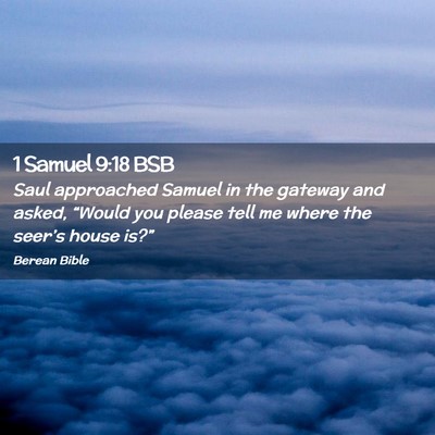 Picture 02 - 1 Samuel 9:18 BSB - Saul approached Samuel in the gateway and asked, - Bible Verse Picture