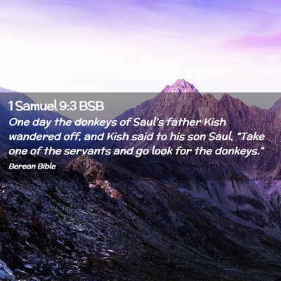 Picture 02 - 1 Samuel 9:3 BSB - One day the donkeys of Saul’s father Kish - Bible Verse Picture