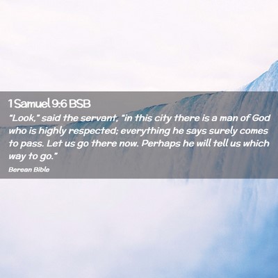 Picture 02 - 1 Samuel 9:6 BSB - “Look,” said the servant, “in this city - Bible Verse Picture