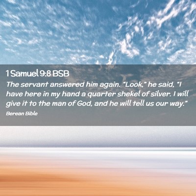 Picture 02 - 1 Samuel 9:8 BSB - The servant answered him again. “Look,” he - Bible Verse Picture