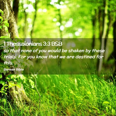 Picture 02 - 1 Thessalonians 3:3 BSB - so that none of you would be shaken by these - Bible Verse Picture