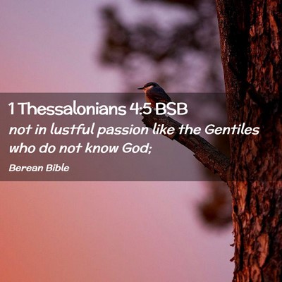 Picture 02 - 1 Thessalonians 4:5 BSB - not in lustful passion like the Gentiles who do - Bible Verse Picture