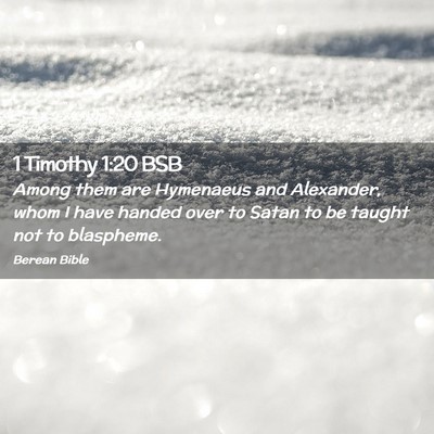 Picture 02 - 1 Timothy 1:20 BSB - Among them are Hymenaeus and Alexander, whom I - Bible Verse Picture
