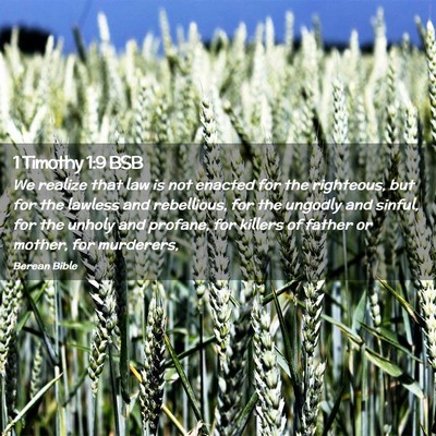 Picture 02 - 1 Timothy 1:9 BSB - We realize that law is not enacted for the - Bible Verse Picture