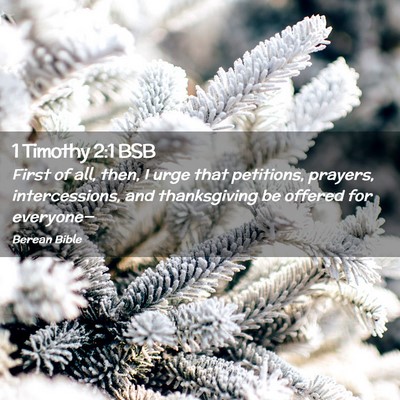 Picture 02 - 1 Timothy 2:1 BSB - First of all, then, I urge that petitions, - Bible Verse Picture