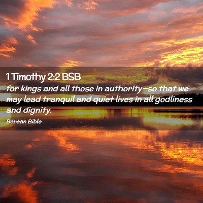 Picture 02 - 1 Timothy 2:2 BSB - for kings and all those in authority—so that we - Bible Verse Picture